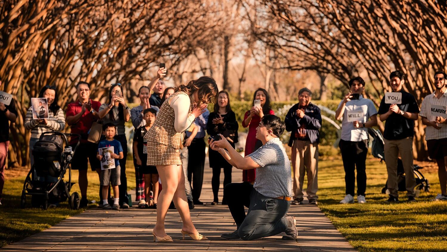 Wide documentary shot of a man down on one knee for a surprise proposal under the tree tunnel at the Dallas Arboretum.